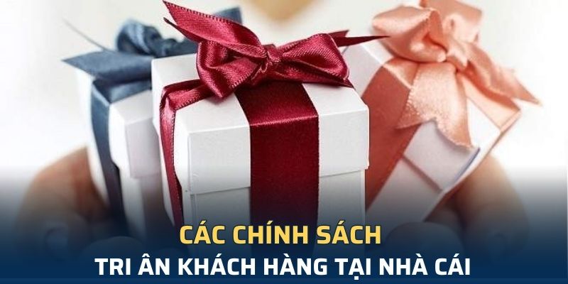 Nhận 58 điểm thưởng miễn phí và trải nghiệm dịch vụ hấp dẫn