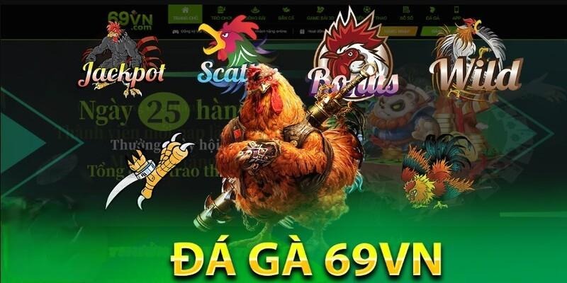 Đá gà 69VN cung cấp dịch vụ giải trí xanh chín