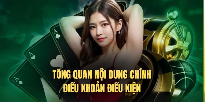 Tổng quan về nội dung điều khoản điều kiện
