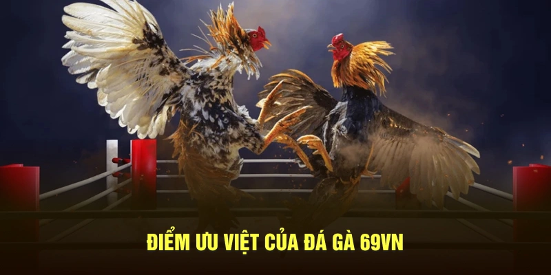 Những điểm ưu việt mà đá gà 69VN mang tới