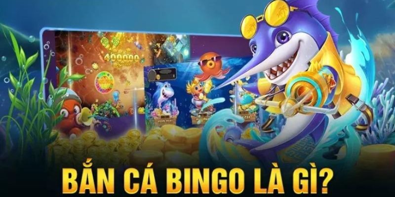 Khái quát chung nhất về bắn cá bingo